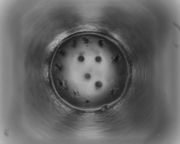 X0000103281455200808291301