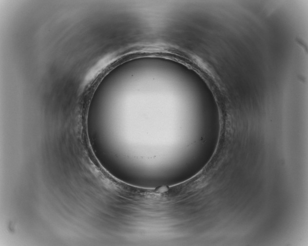 X0000103281456200808291301