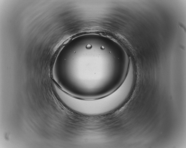 X0000103281457200808291301