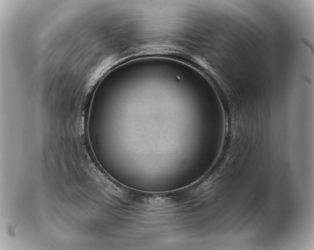 X0000103281459200808291301