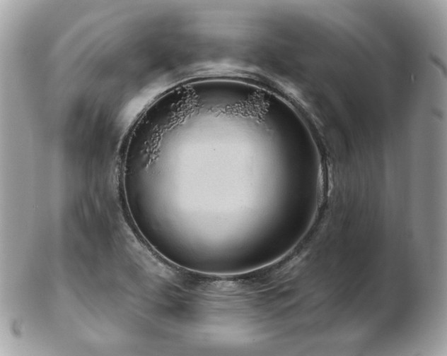 X0000103281463200808291301