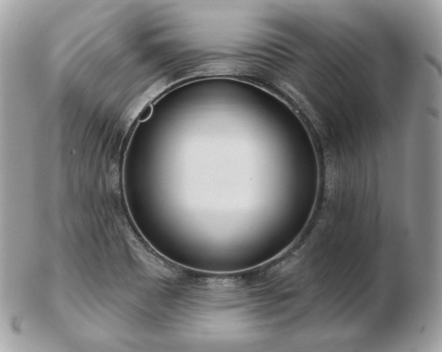 X0000103281465200808291301