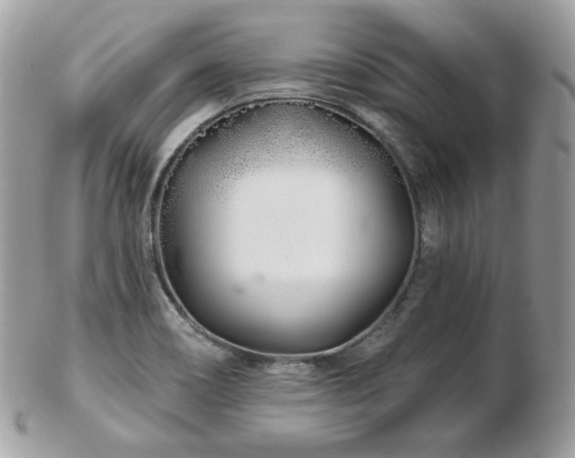 X0000103281466200808291301