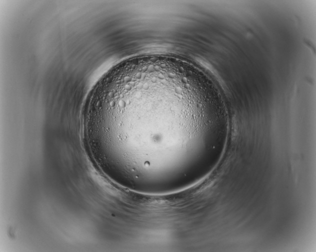 X0000103281467200808291301