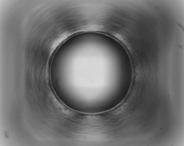 X0000103281469200808291301