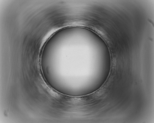 X0000103281470200808291301