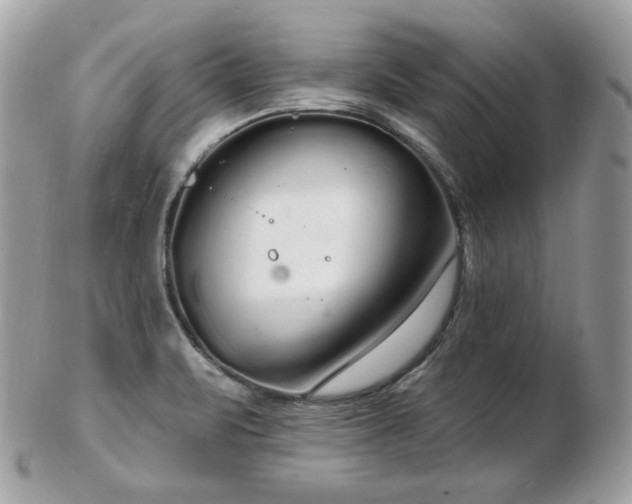 X0000103281471200808291301