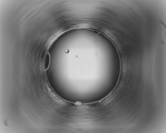 X0000103281473200808291300