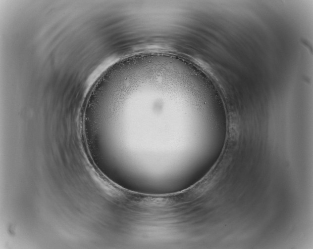 X0000103281474200808291300