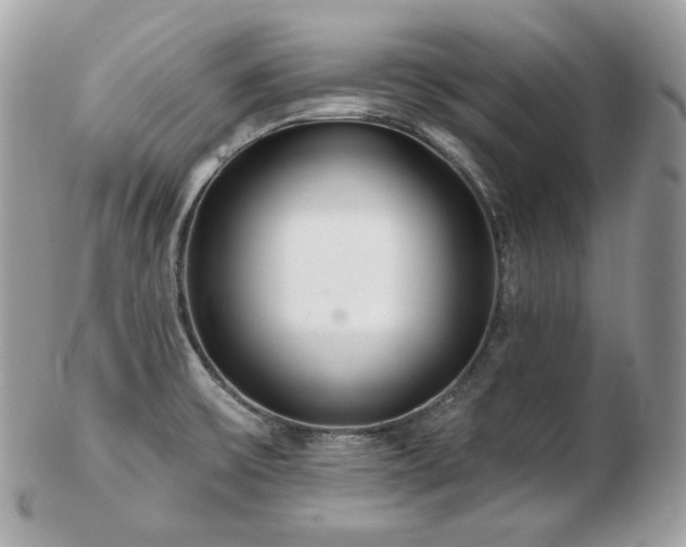 X0000103281475200808291300