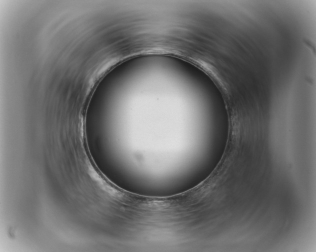 X0000103281476200808291300