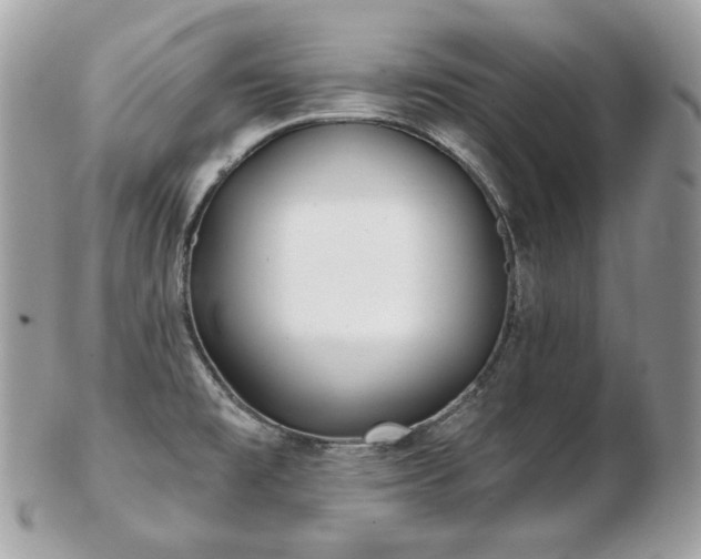 X0000103281477200808291300