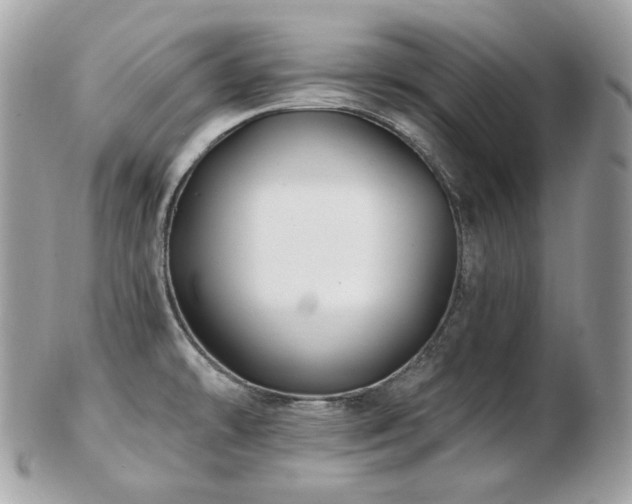 X0000103281478200808291300