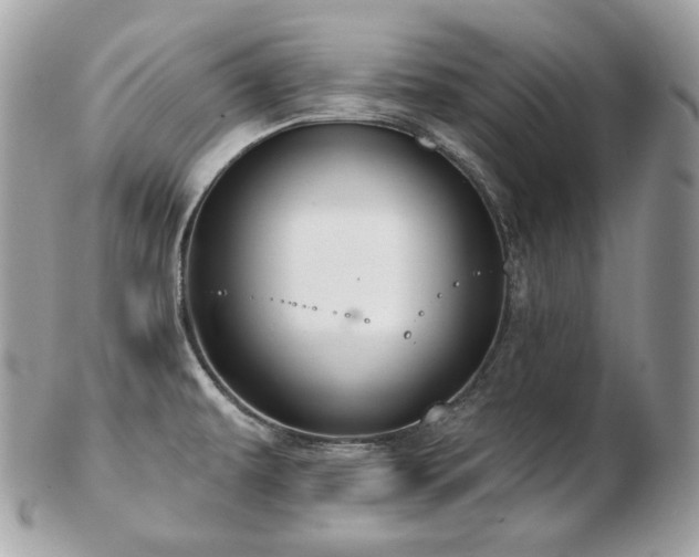 X0000103281479200808291300