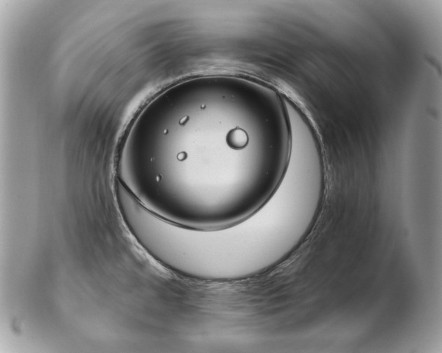 X0000103281480200808291300