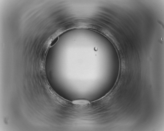 X0000103281481200808291300