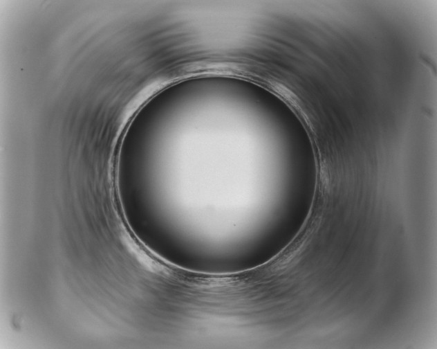 X0000103281482200808291300