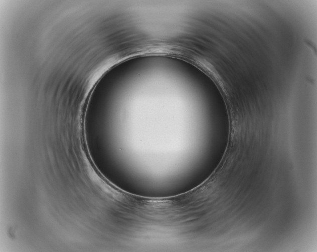 X0000103281483200808291300