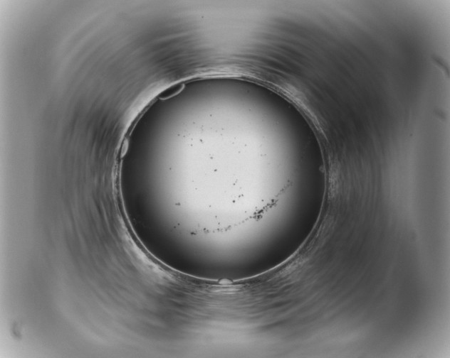 X0000103281484200808291300