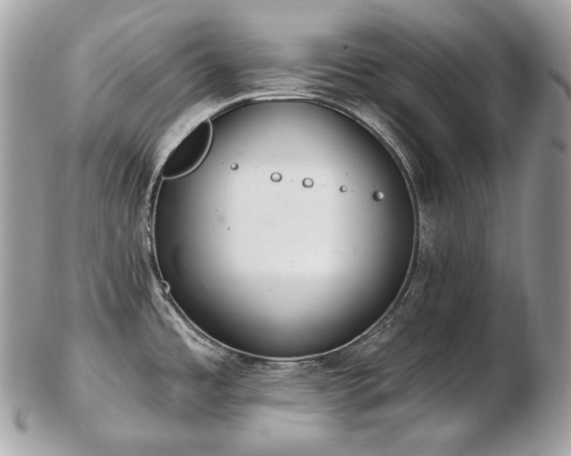 X0000103281485200808291300