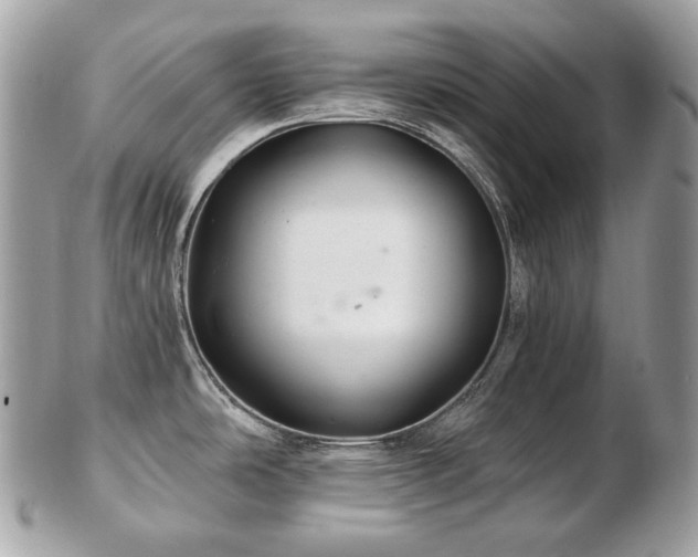 X0000103281486200808291300