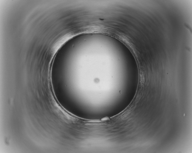 X0000103281487200808291300