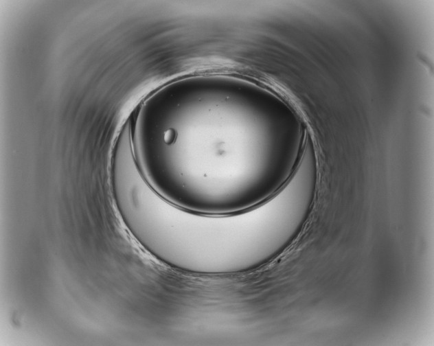 X0000103281488200808291300