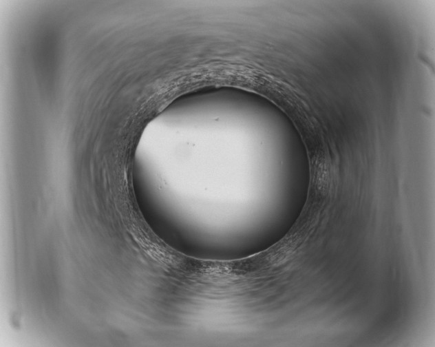 X0000103281489200808291300