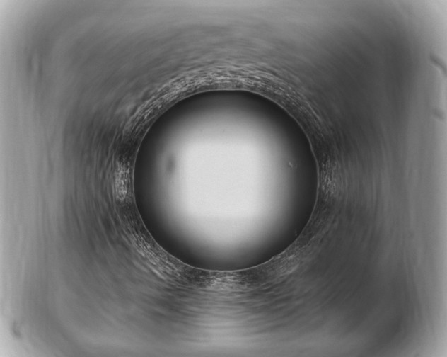 X0000103281490200808291300