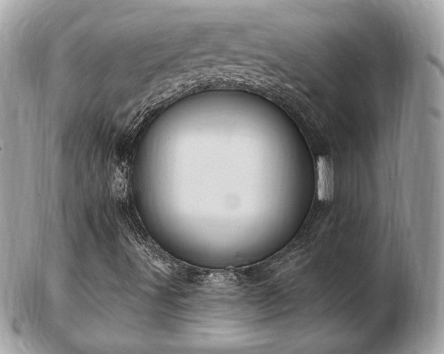 X0000103281491200808291300