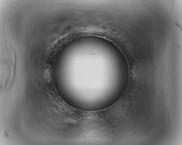 X0000103281493200808291300