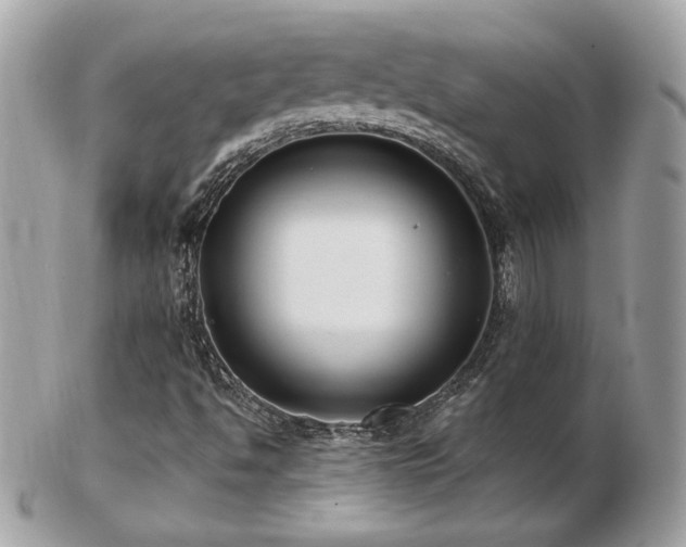 X0000103281494200808291300