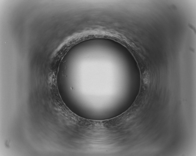 X0000103281495200808291300