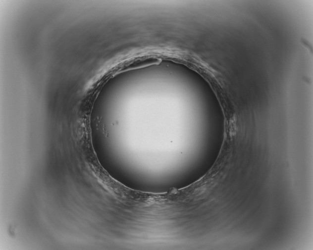 X0000103281496200808291300