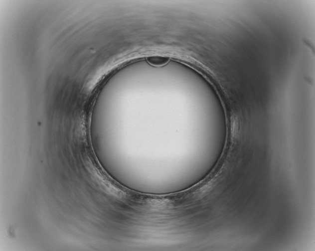 X0000103281498200808291300