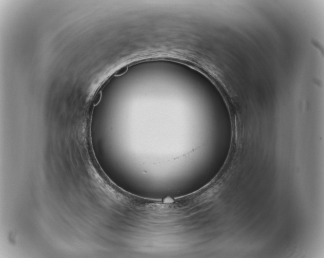 X0000103281500200808291300