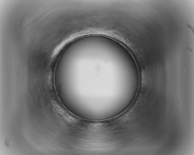 X0000103281502200808291300