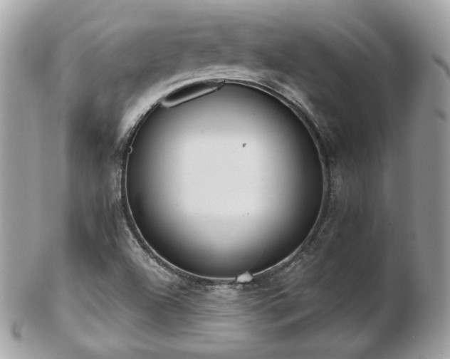 X0000103281504200808291300