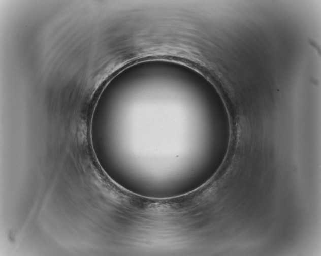 X0000103281505200808291300