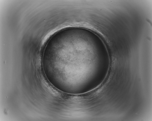 X0000103281506200808291300