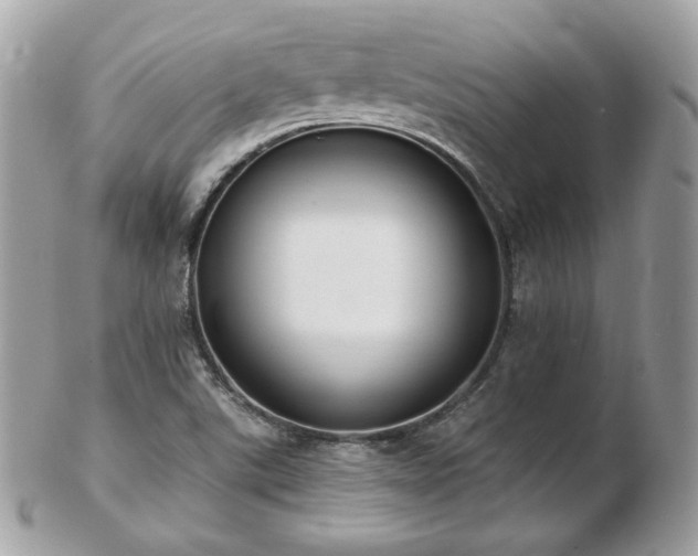 X0000103281507200808291300