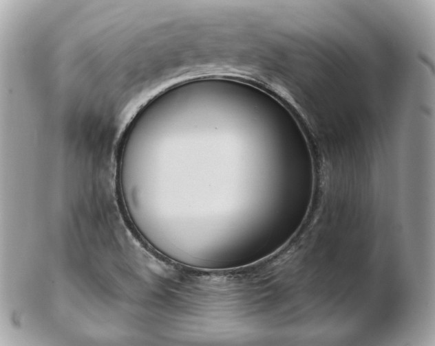 X0000103281508200808291300