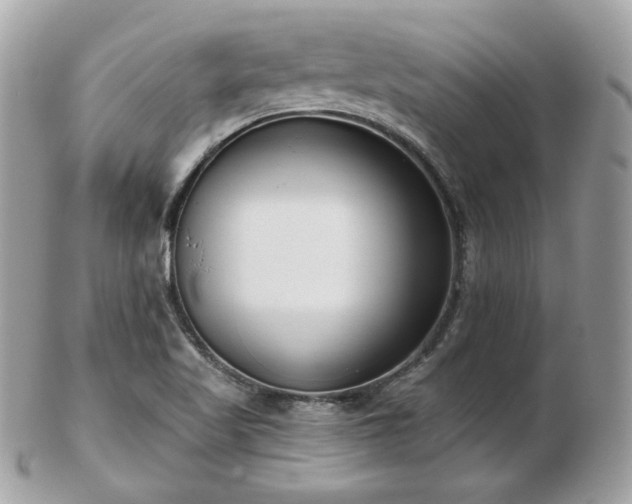 X0000103281509200808291300