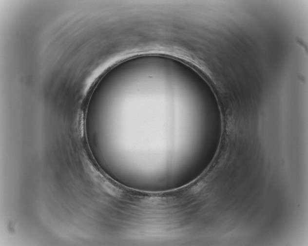 X0000103281510200808291300