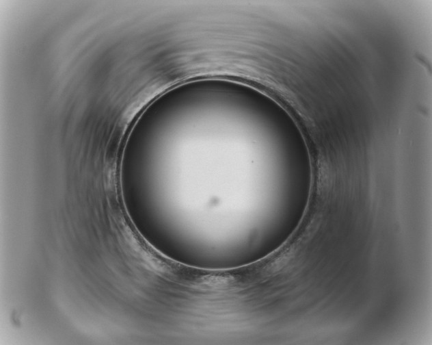 X0000103281513200808291300