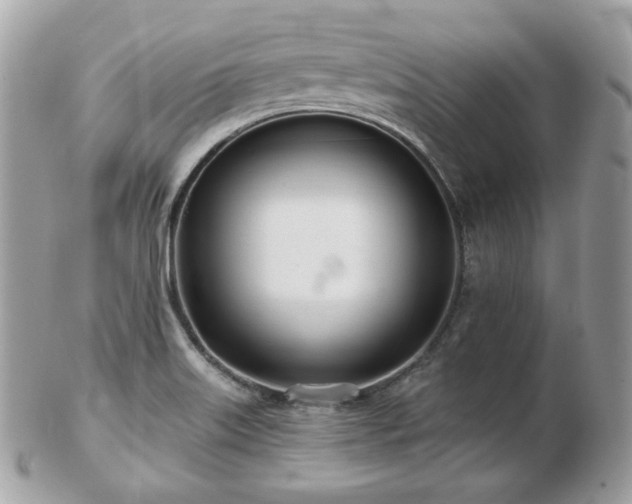 X0000103281515200808291300