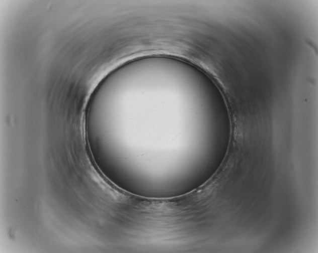 X0000103281516200808291300