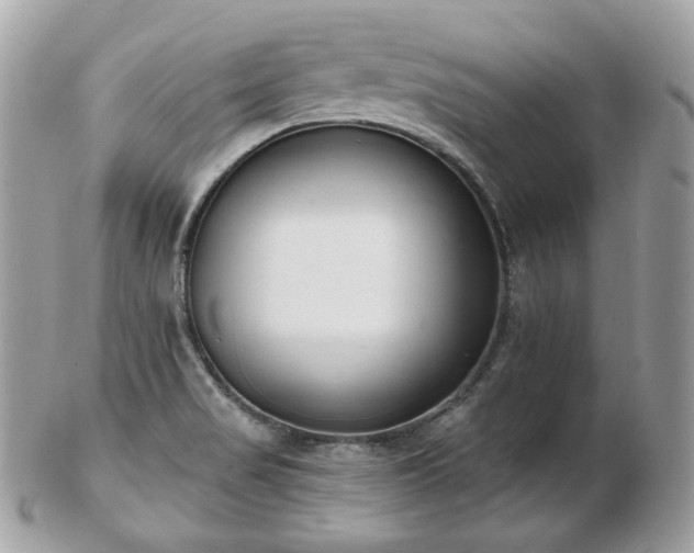 X0000103281517200808291300