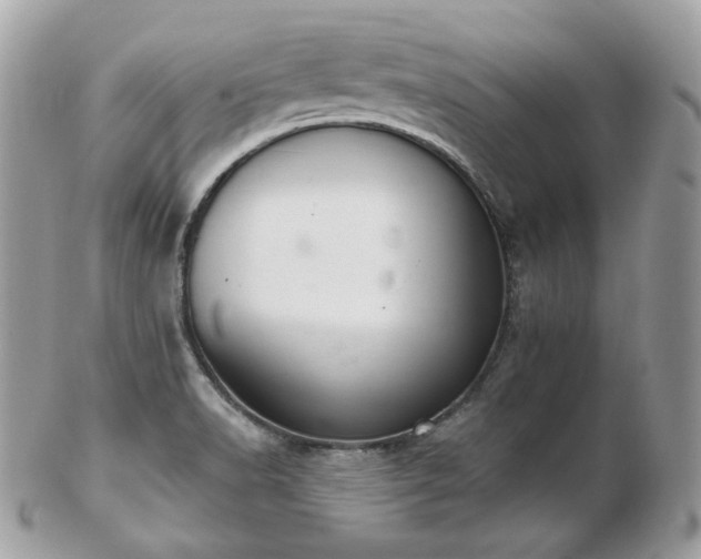 X0000103281518200808291300