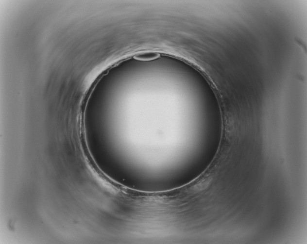 X0000103281519200808291300